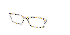 The Sunny Side Up