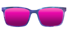 The Polarized Galaxy Sun Top