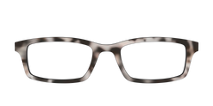 The Cottage Tortoise