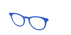 The Indigo