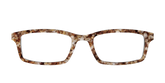The Sandstone Tortoise
