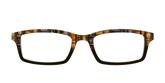 The Secret Library