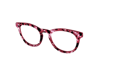 The Raspberry Pearl Tortoise