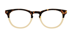 The Amber Tortoise Crystal Split