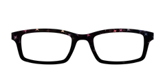The Nightfall Haze with Holographic Starbursts
